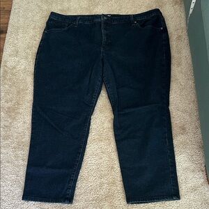 Terra & Sky women’s Dark Blue Relaxed Jeans petite size 24w petite